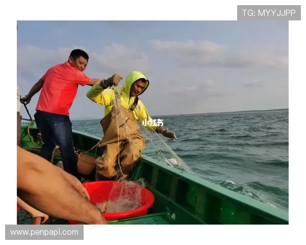 体验ag捕鱼游戏带来的极致刺激感受,畅享海底宝藏的无限惊喜 体验ag捕鱼游戏带来的极致刺激感受,畅享海底宝藏的无限惊喜